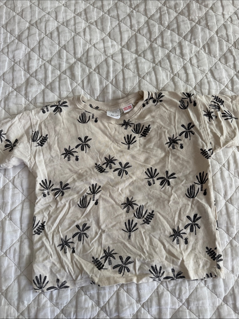 Zara Kids Beige Palm Print Tee